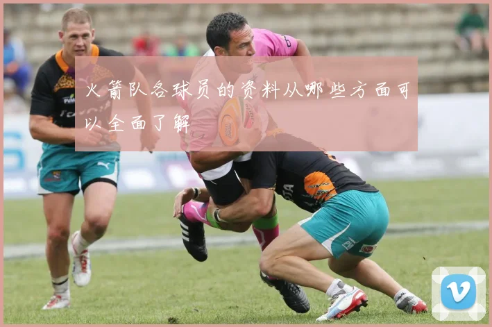 火箭队各球员的资料从哪些方面可以全面了解