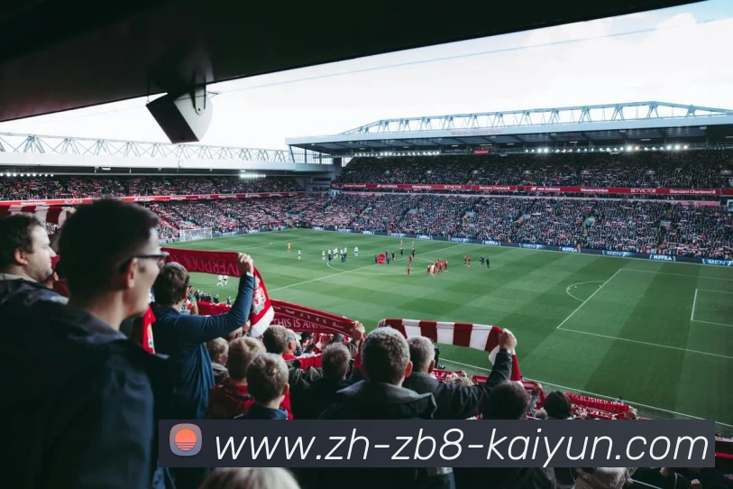 开云体育平台生态图